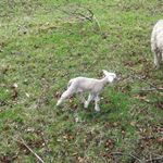torok_sandor_photo_11